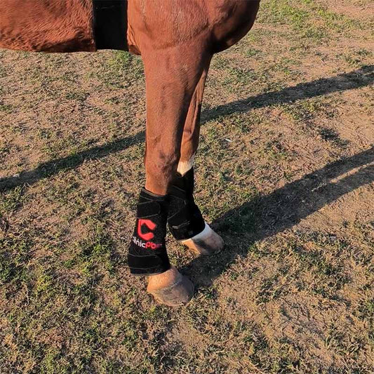 Red Light Therapy Leg Boots for Horses - PbmEquine