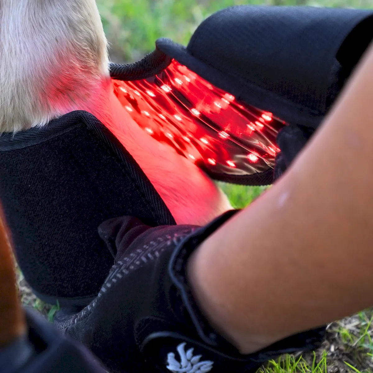 Complete Front-Limb Recovery Kit — Red Light Therapy Leg + Hoof Boots (2+2)