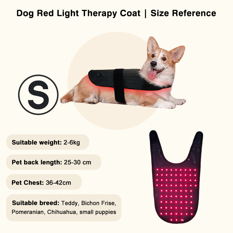 PbmEquine Red Light Therapy Coat for Dog & Cat