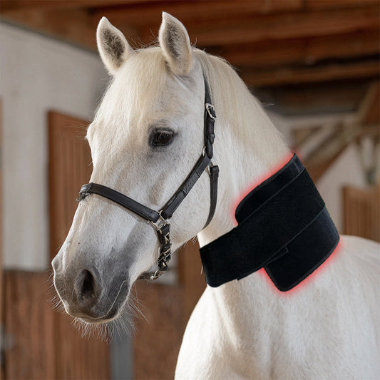 Exploring the Benefits and Advanced Applications of Equine Red Light Therapy: A Strategic Approach to Modern Horse Management