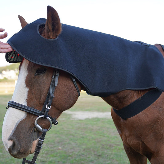 Red Light Therapy vs Cold Laser for Horses