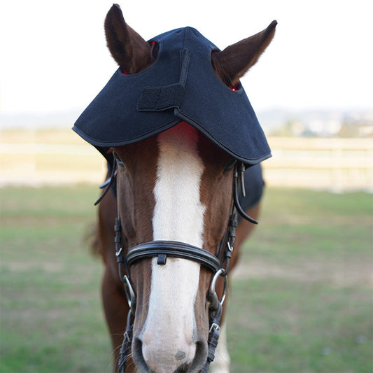 Red Light Therapy for Horse Scars