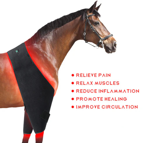 Revolutionizing Joint Pain Relief: How Red Light Therapy Can Help Humans and Horses with Arthritis