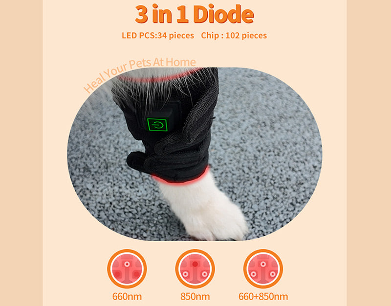 Equine Red Light Therapy for Horse
