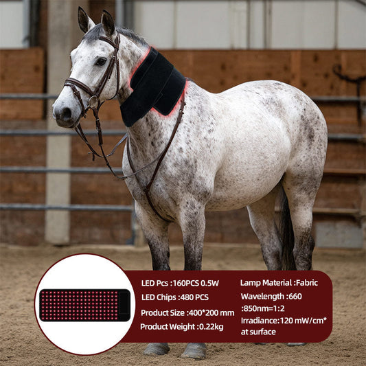 LED Red Light Therapy: A Revolutionary Solution for Healing, Beauty, and Sports Recovery