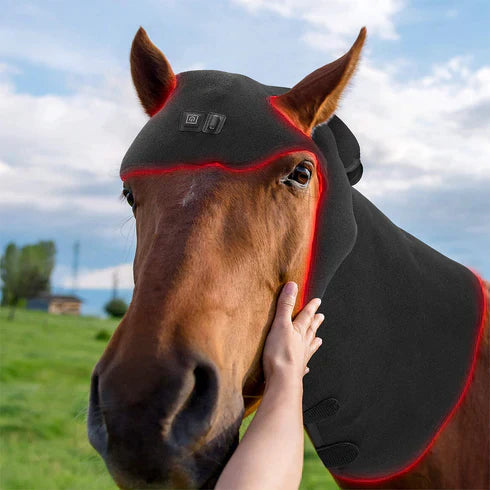 Red light therapy for horses