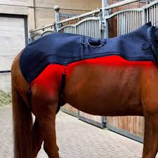 Red Light Therapy for Horses: A Game-Changer in Equine Health and Performance