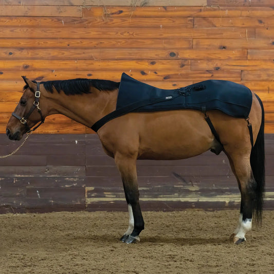 Which Is Better for Equine Therapy: 660nm or 850nm Red Light