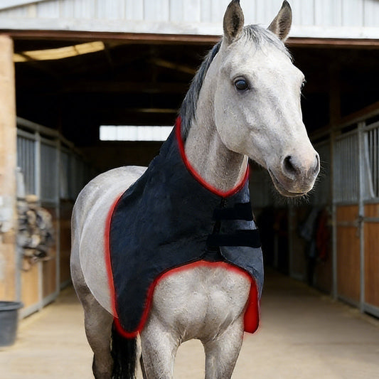 Red Light Therapy for Horse
