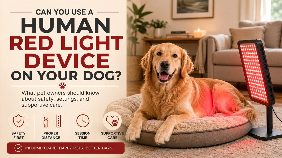 Can You Use a Human Red Light Device on Your Dog