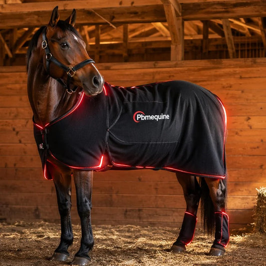 Red Light Therapy for Horse
