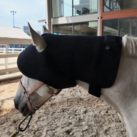 Red Light Therapy for Windgalls in Horses