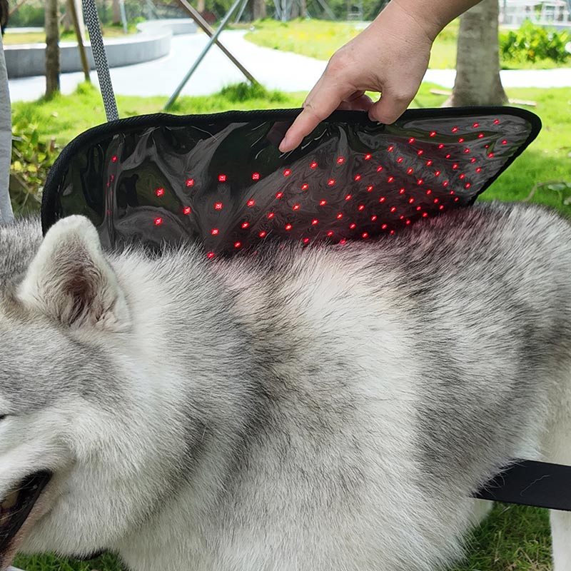 PbmEquine Red Light Therapy Coat for Dog & Cat
