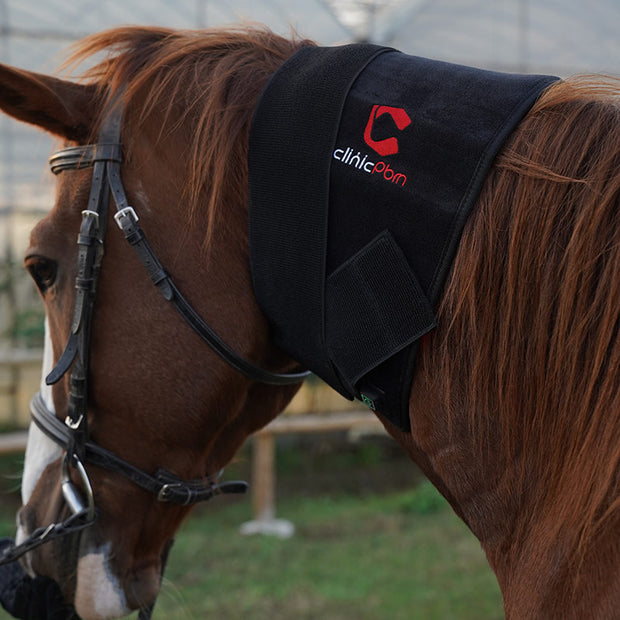 Red Light Therapy Wrap for Equine Back Abdomen Neck
