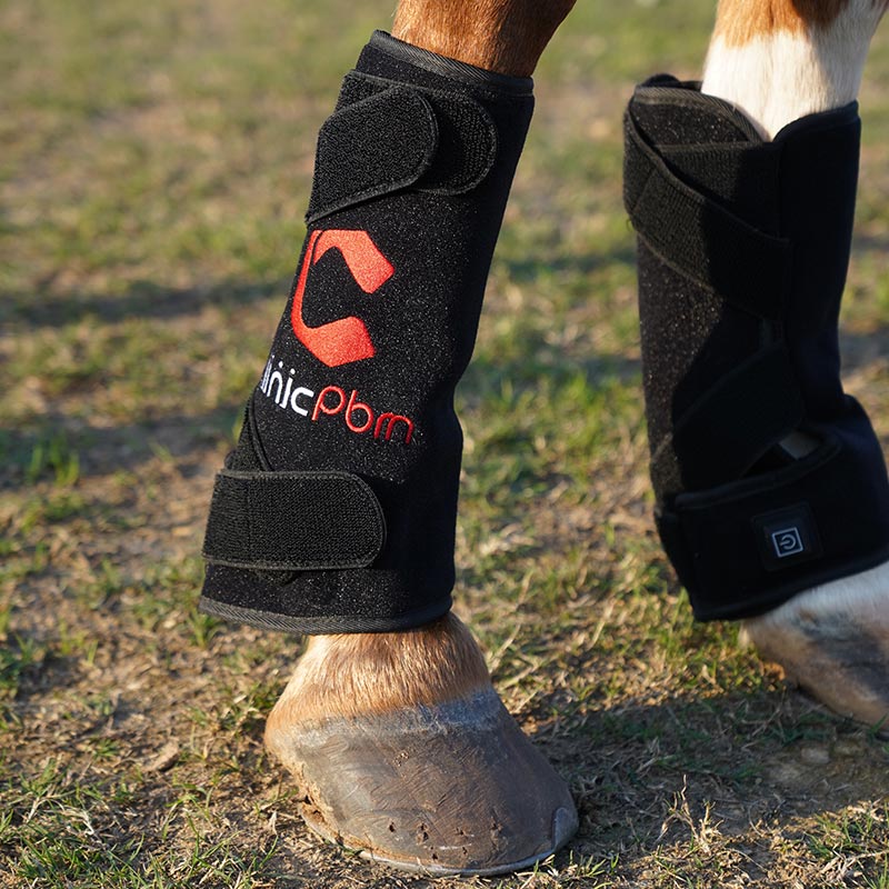 Infrared Red Light Therapy Legs Boots for Horses