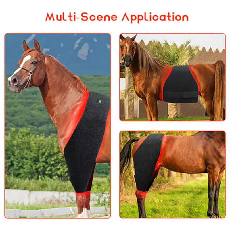 Red Light Therapy Hip and Shoulder Wrap Pad for Horses - PbmEquine