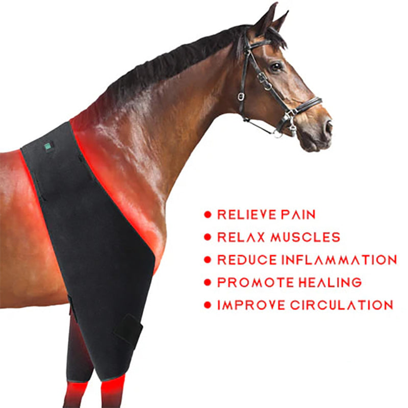 Red Light Therapy Hip and Shoulder Wrap Pad for Horses - PbmEquine