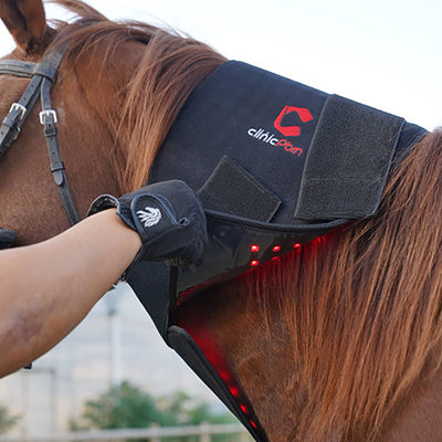 PbmEquine Red Light Therapy Horse Wrap Blanket(Large Size)
