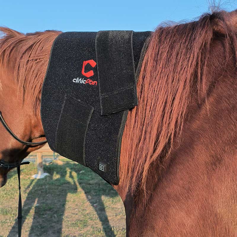 PbmEquine Red Light Therapy Horse Wrap Blanket(Large Size)