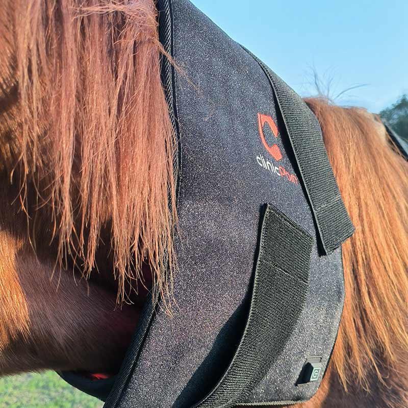 PbmEquine Red Light Therapy Horse Wrap Blanket(Large Size)