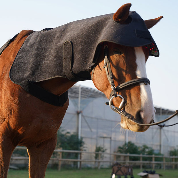 PbmEquine Red Light Therapy Poll Cap and Neck for Horses