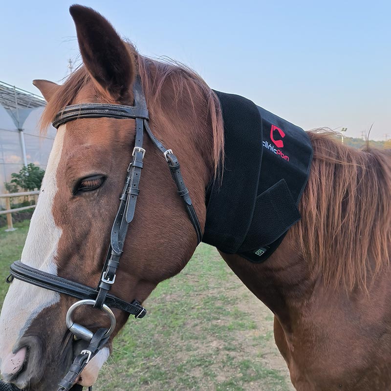 PbmEquine Red Light Therapy Leg & Neck Wrap for Horses