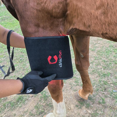 PbmEquine Red Light Therapy Leg & Neck Wrap for Horses