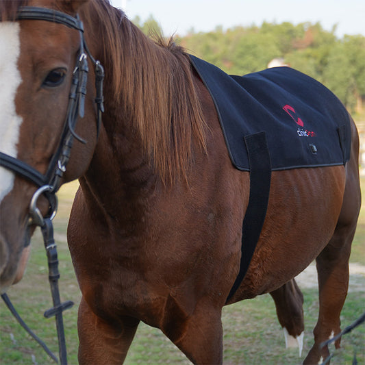 Best Infrared Red Light Therapy Back Pad for Horses - PbmEquine