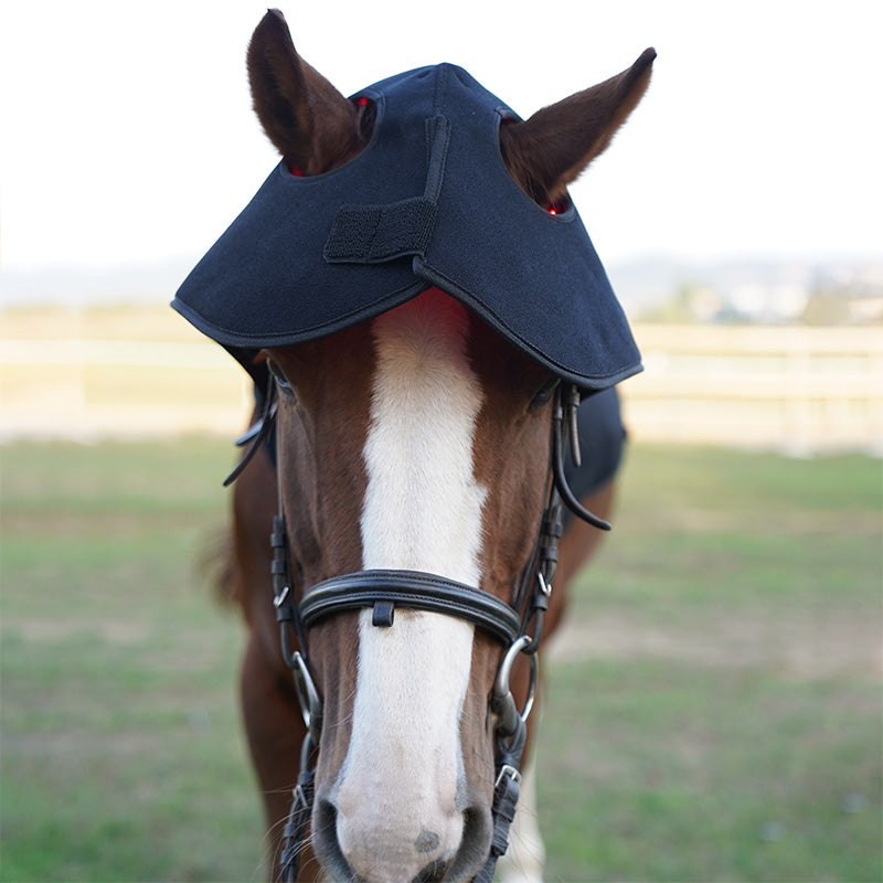 PbmEquine Red Light Therapy Poll Cap and Neck for Horses