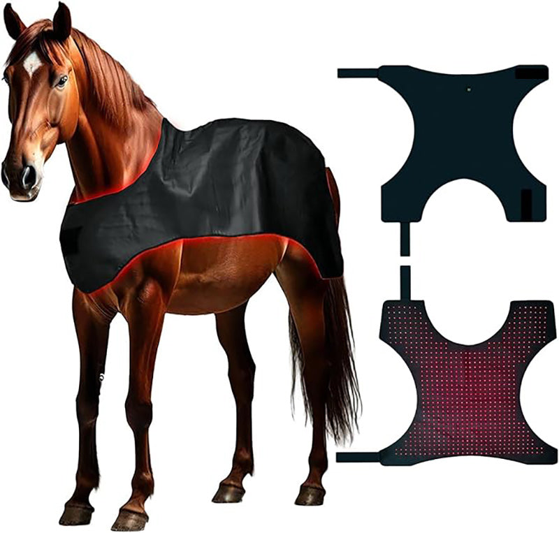 Advanced Full-Body Equine Red Light Therapy Blanket - PbmEquine