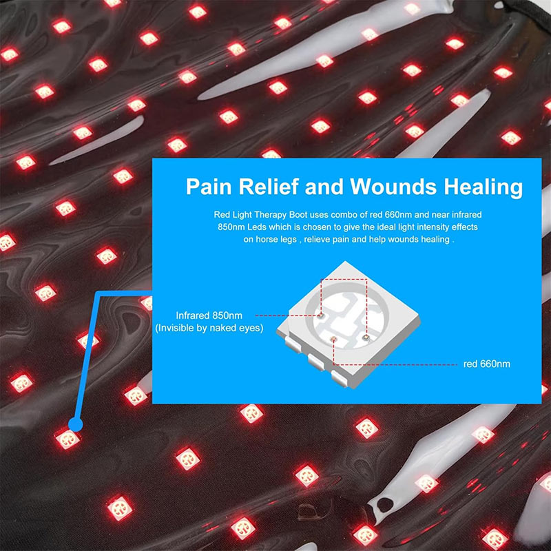 Advanced Full-Body Equine Red Light Therapy Blanket - PbmEquine
