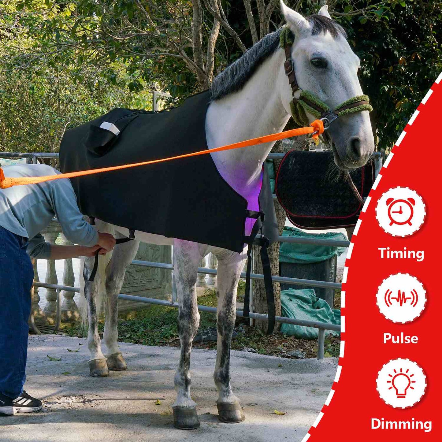 Full body Blanket with Blue light Therapy Pad for Horses