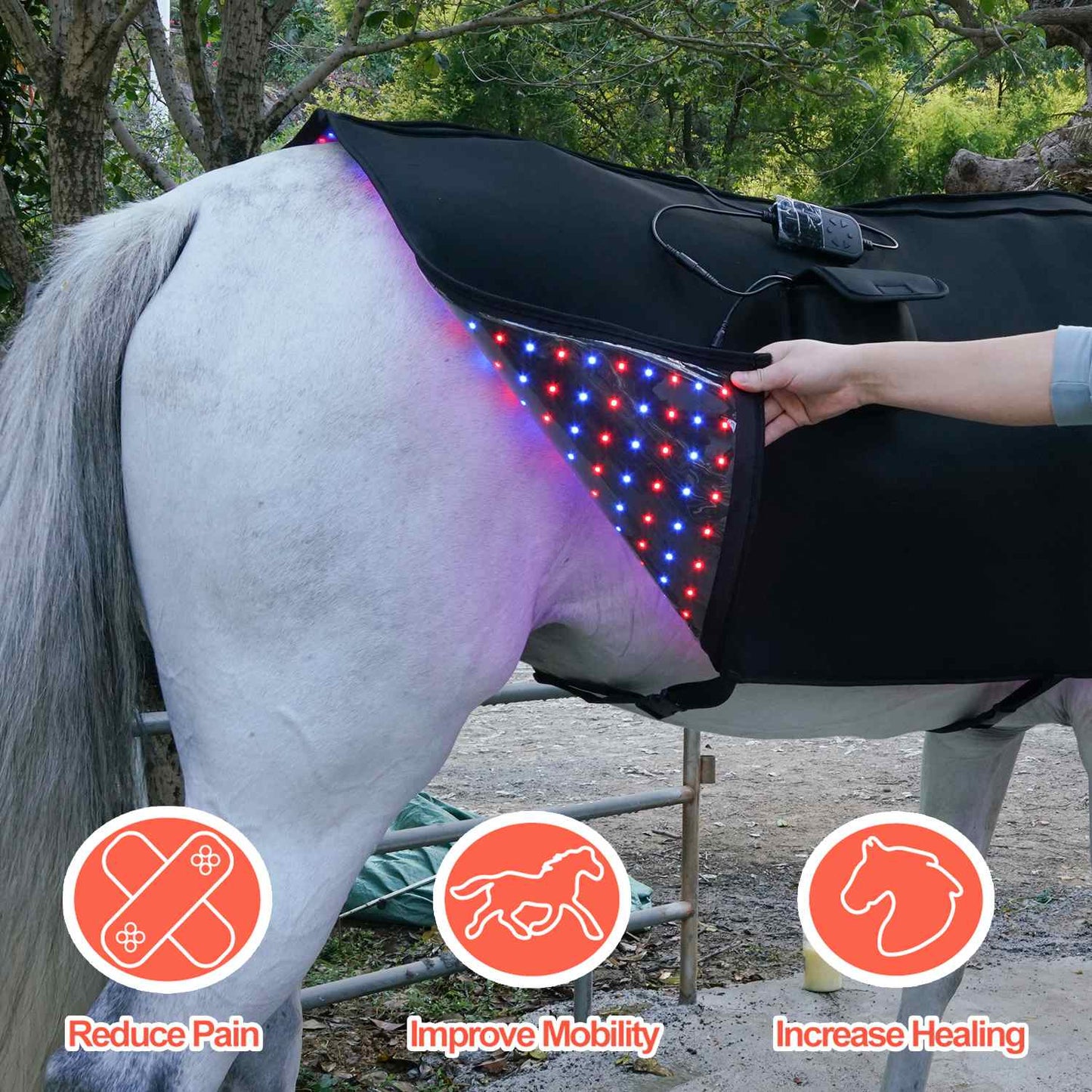Full body Blanket with Blue light Therapy Pad for Horses