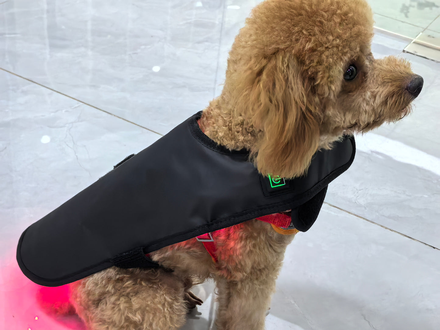 ClinicPBM Dog Cat Red Light Therapy Coat - Size S M L