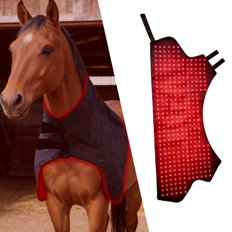 LED Infrared Red Light Therapy for Equine Neck