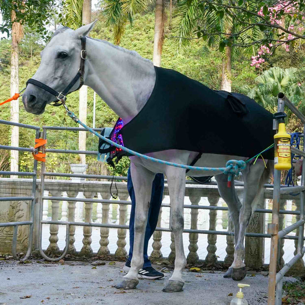 Full body Blanket with Blue light Therapy Pad for Horses