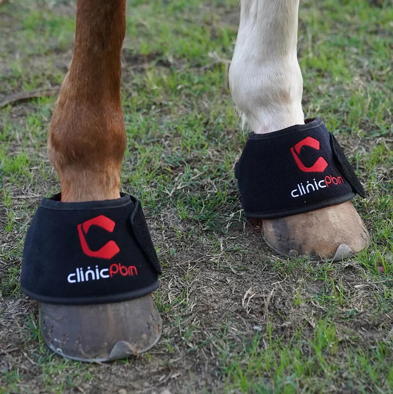 Complete Front-Limb Recovery Kit — Red Light Therapy Leg + Hoof Boots (2+2)