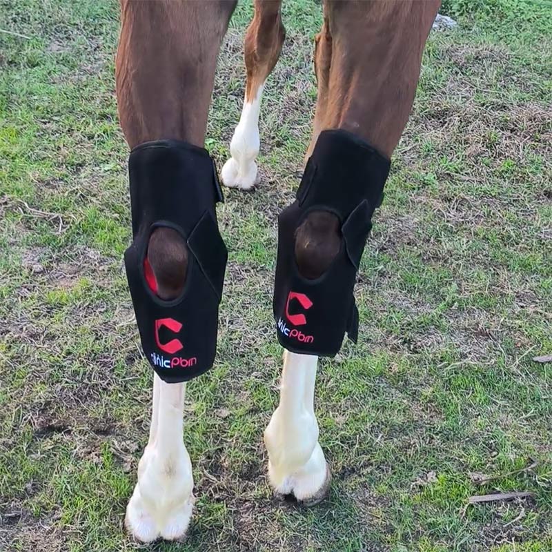 Red Light Therapy Hock Wraps for Horses Legs Boots