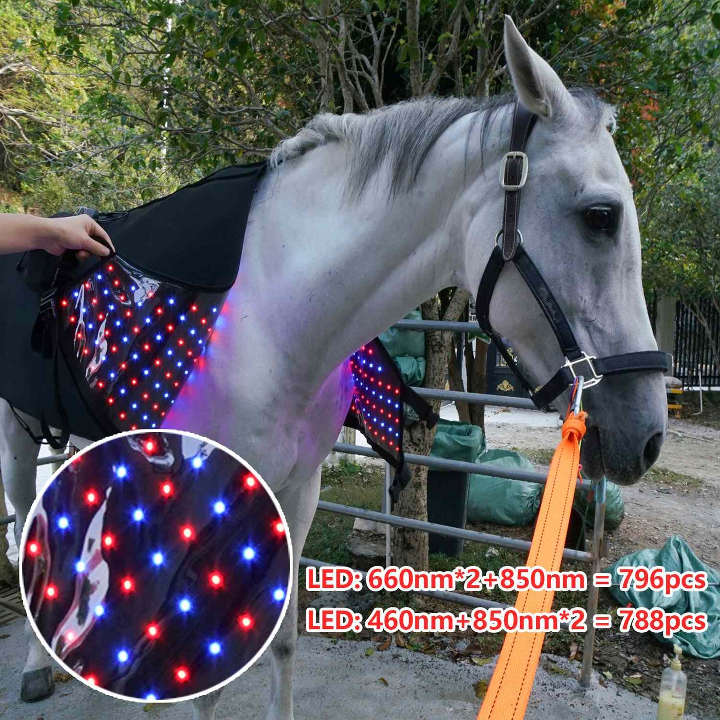 Full body Blanket with Blue light Therapy Pad for Horses