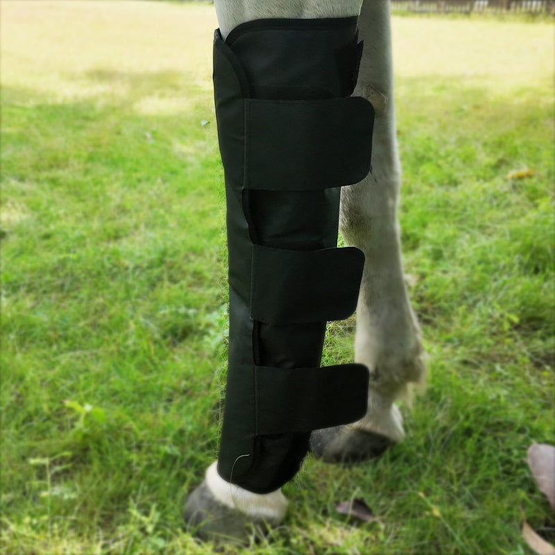 Red Light Therapy Thigh Boots  Hock Wraps for Horses