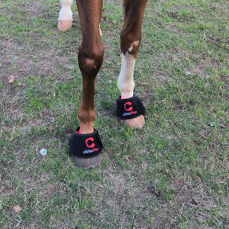 Red Light Therapy Hoof Boots for Horses - PbmEquine
