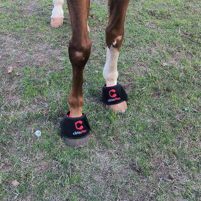 PbmEquine Red Light Therapy Hoof Boots for Horses