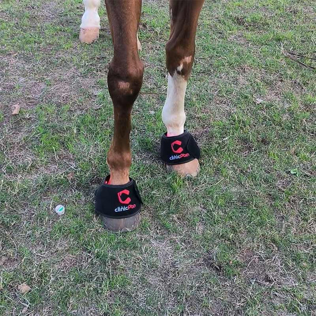PbmEquine Red Light Therapy Hoof Boots for Horses