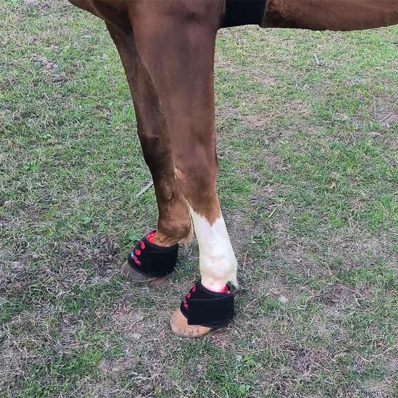 Red Light Therapy Hoof Boots for Horses - PbmEquine