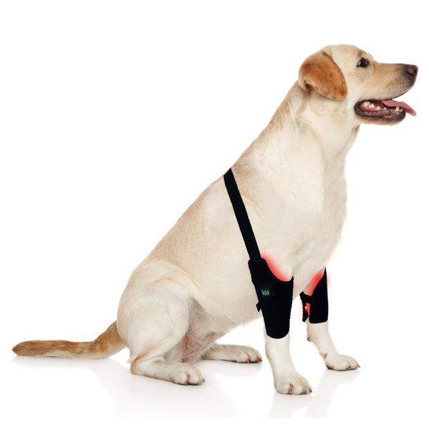 PbmEquine Red LED Light Therapy for Dog Leg(2 PCS)