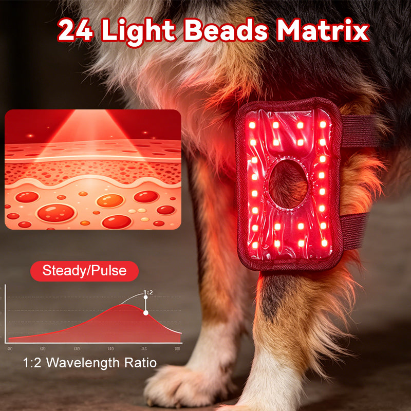 Veterinary-grade red light therapy for your dog's knee pain, CCL recovery and arthritis relief(2 PCS)
