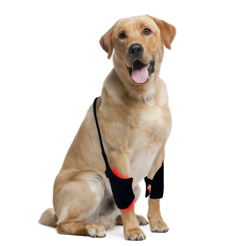 PbmEquine Red LED Light Therapy for Dog Leg(2 PCS)