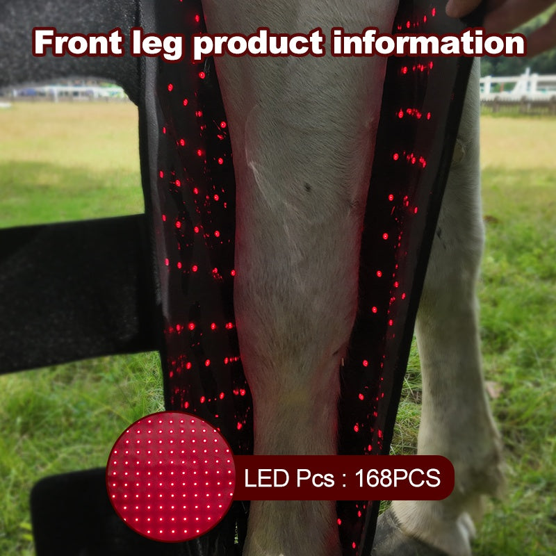 Red Light Therapy Thigh Boots  Hock Wraps for Horses