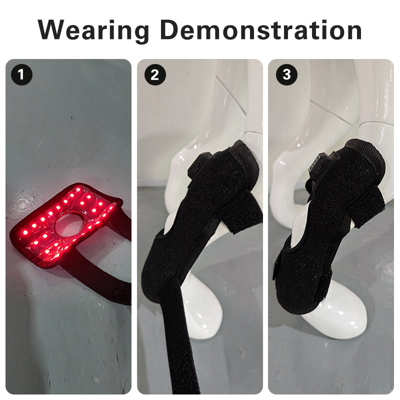 Veterinary-grade red light therapy for your dog's knee pain, CCL recovery and arthritis relief(2 PCS)