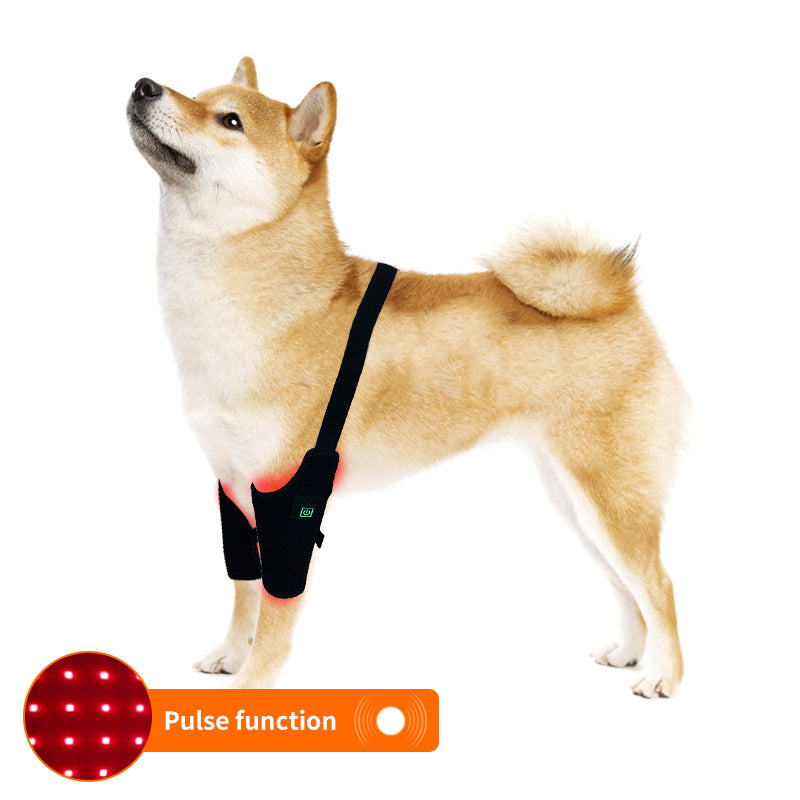 PbmEquine Red LED Light Therapy for Dog Leg(2 PCS)